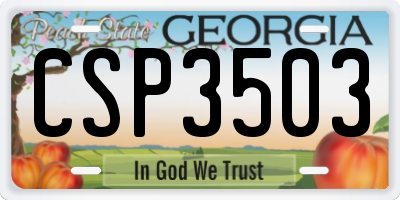 GA license plate CSP3503