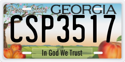 GA license plate CSP3517
