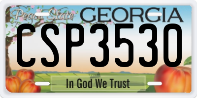 GA license plate CSP3530