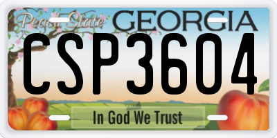 GA license plate CSP3604