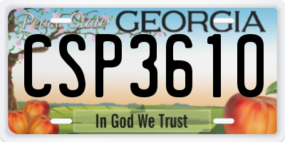 GA license plate CSP3610