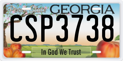 GA license plate CSP3738