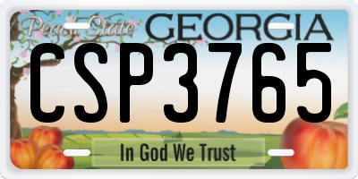 GA license plate CSP3765
