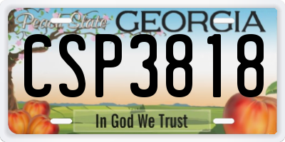 GA license plate CSP3818