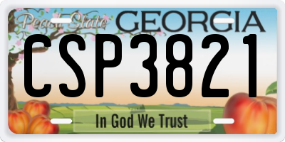 GA license plate CSP3821