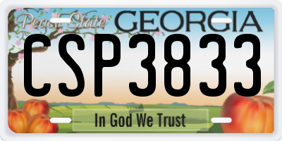 GA license plate CSP3833