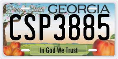GA license plate CSP3885