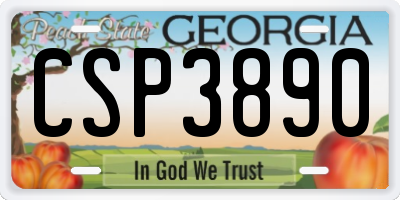 GA license plate CSP3890