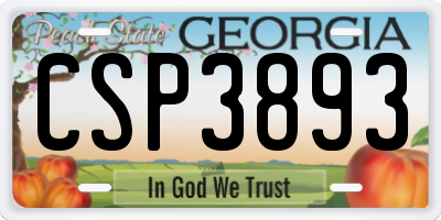 GA license plate CSP3893