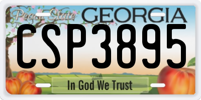 GA license plate CSP3895