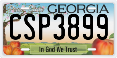 GA license plate CSP3899