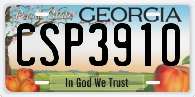 GA license plate CSP3910