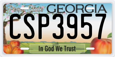 GA license plate CSP3957