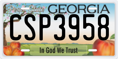 GA license plate CSP3958