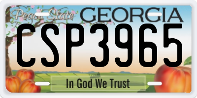 GA license plate CSP3965