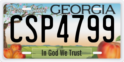 GA license plate CSP4799