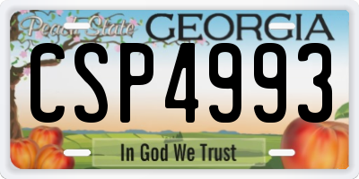 GA license plate CSP4993