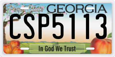 GA license plate CSP5113