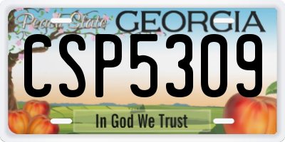 GA license plate CSP5309