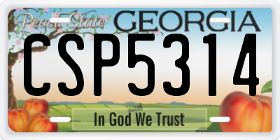 GA license plate CSP5314
