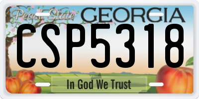 GA license plate CSP5318