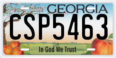 GA license plate CSP5463