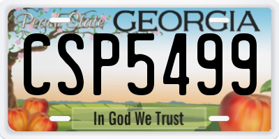 GA license plate CSP5499