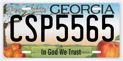 GA license plate CSP5565