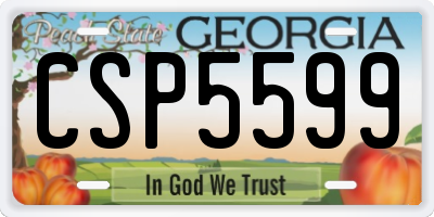 GA license plate CSP5599