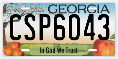 GA license plate CSP6043