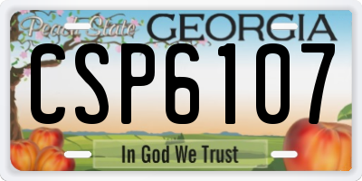 GA license plate CSP6107