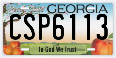 GA license plate CSP6113