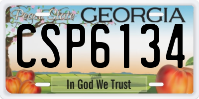 GA license plate CSP6134