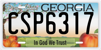 GA license plate CSP6317