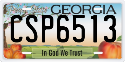 GA license plate CSP6513