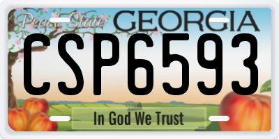 GA license plate CSP6593