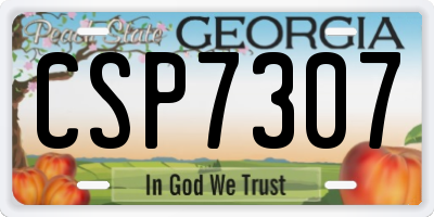 GA license plate CSP7307