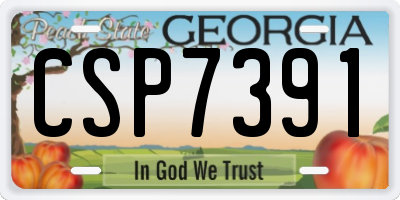 GA license plate CSP7391