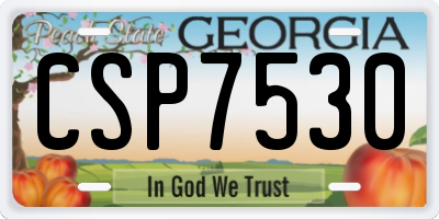 GA license plate CSP7530