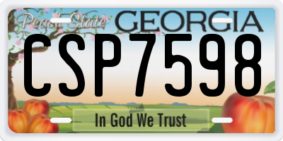 GA license plate CSP7598