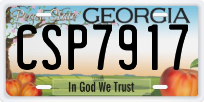 GA license plate CSP7917