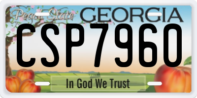 GA license plate CSP7960