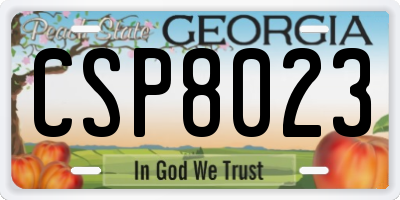 GA license plate CSP8023