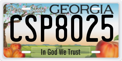 GA license plate CSP8025