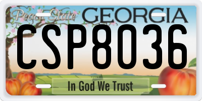 GA license plate CSP8036