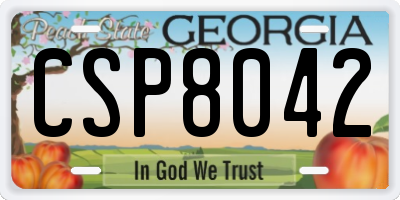 GA license plate CSP8042