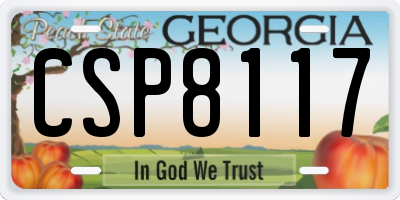 GA license plate CSP8117