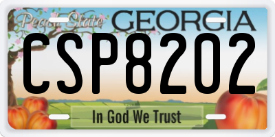 GA license plate CSP8202
