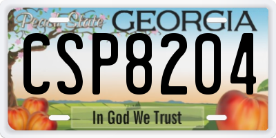 GA license plate CSP8204