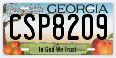 GA license plate CSP8209